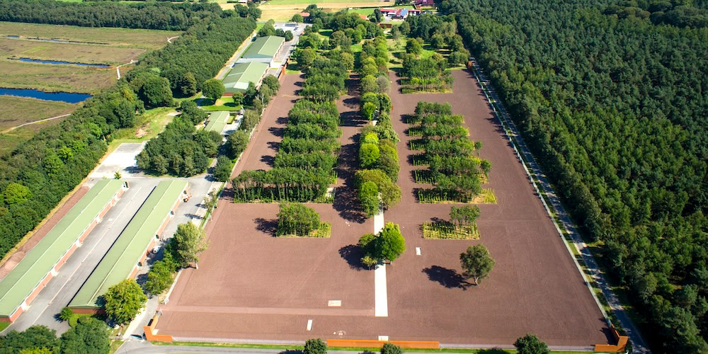 Luftbild Gedenkstätte Esterwegen